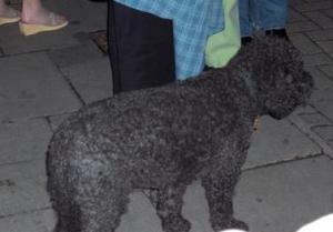 Dottie outside Duke of York's Theater