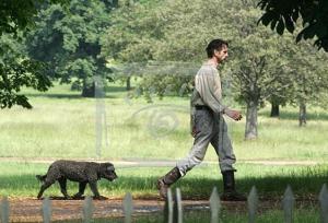 Dottie following Jeremy on a walk