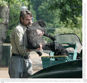 Dottie being put in carrier, Dora already in