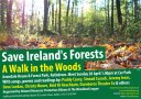 save irelands forests a walk in the&nbsp;woods