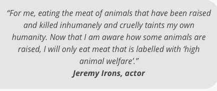 Screen Shot 2016-04-25 at 4.12.20 PM